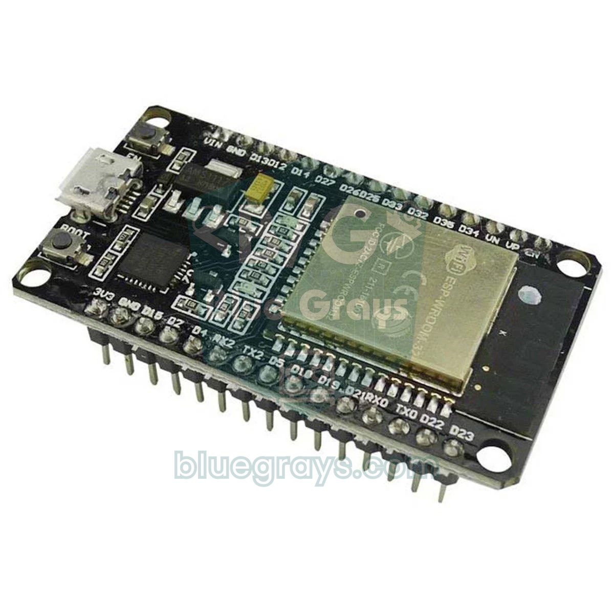 ESP32 development board