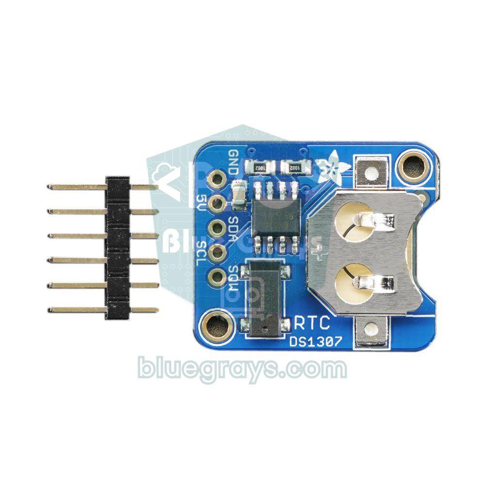 DS1307 RTC Module | BlueGrays